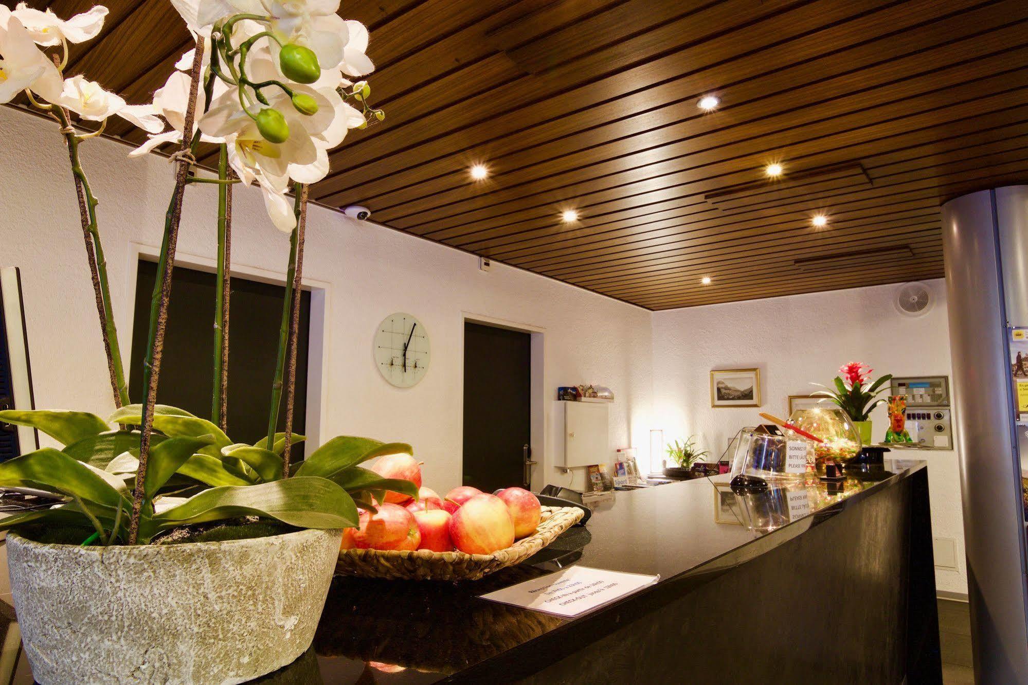 Hôtel du Rhône Sion Ngoại thất bức ảnh