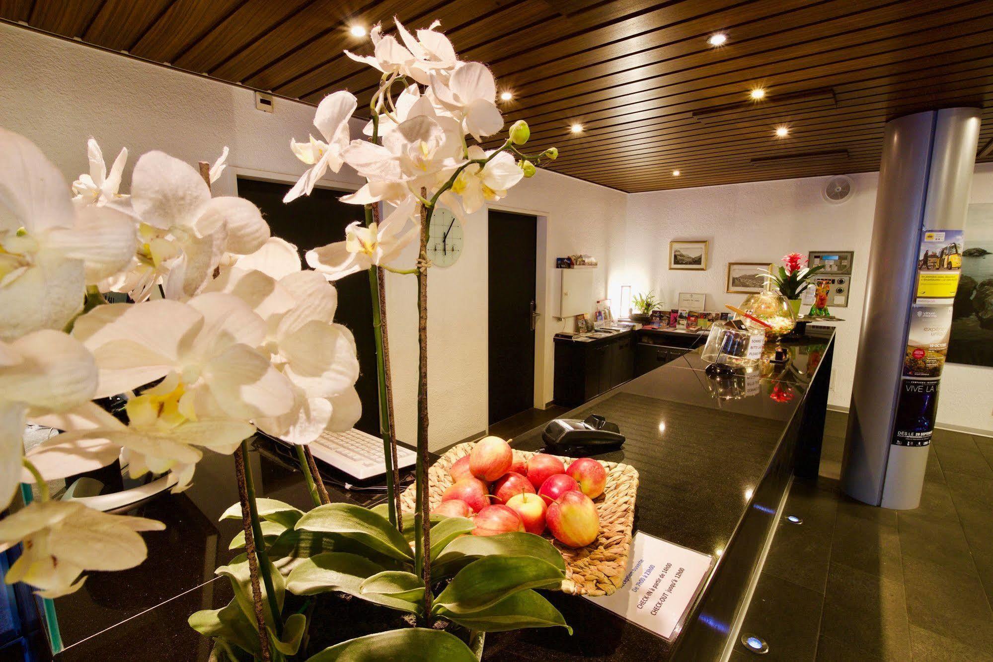 Hôtel du Rhône Sion Ngoại thất bức ảnh